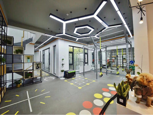 北京連鎖健身房加盟費(fèi)多少錢