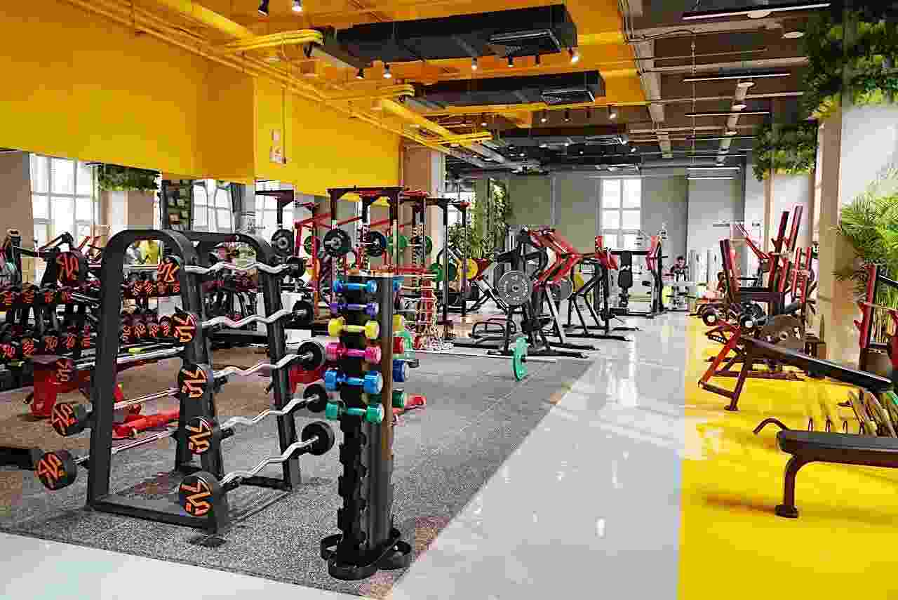 開個私教工作室一年能賺多少錢？